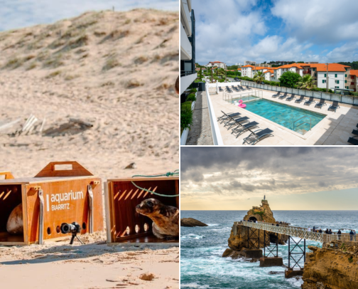 Hotel stays for an easygoing getaway, Ocean Views, Beach Days & Easygoing Places to Stay Biarritz, France cover photo collage