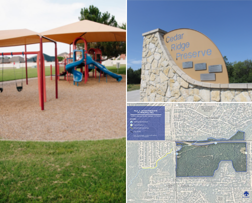 deep in the heart of dallas cover photo collage