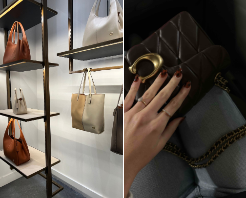 Bags I Own, Bags I’m Dreaming Of 💕 cover photo collage