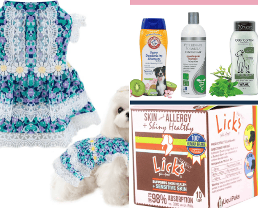 Pet Essentials cover photo collage