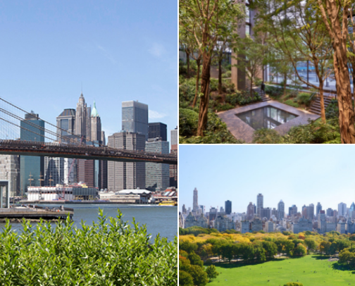 Free Things To Do in NYC cover photo collage