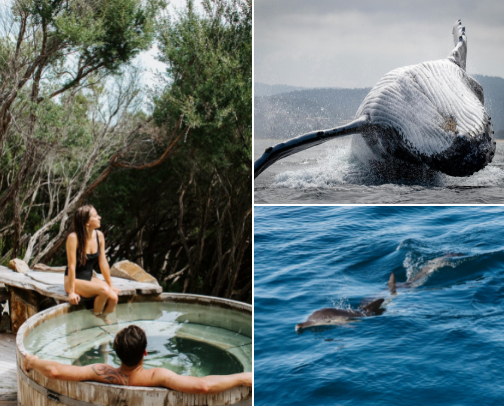 Eastern Australia Bucket List Activities 🌞 cover photo collage