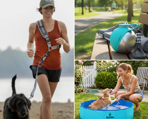 Golden Retriever Life cover photo collage
