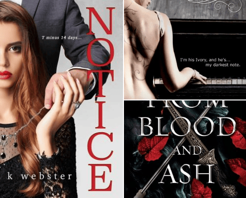 Spicy books 18+ cover photo collage