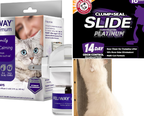 Cat Essentials: Litter, Scratchers & Toys for Indoor Cats cover photo collage