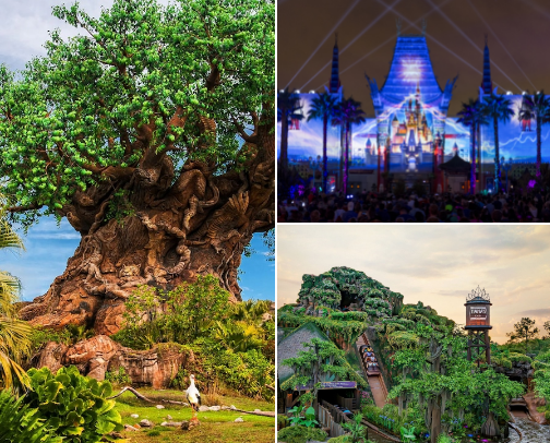 Places I’ve Traveled✈️ cover photo collage