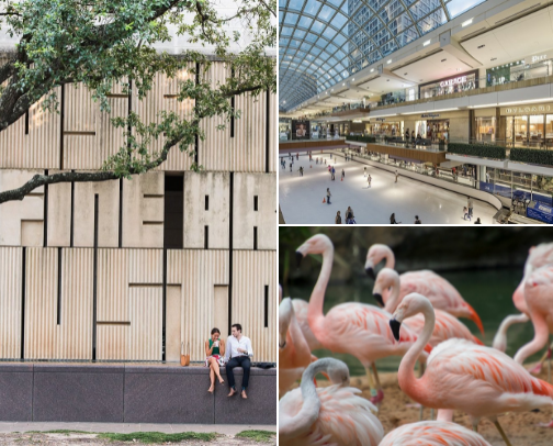 Things to do in Houston!! cover photo collage