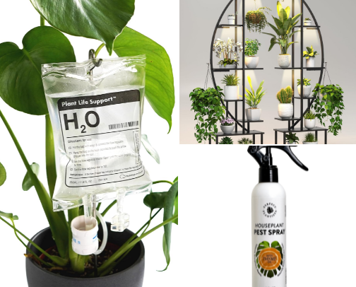 ALL THINGS GREEN-ISH (plants!!) cover photo collage