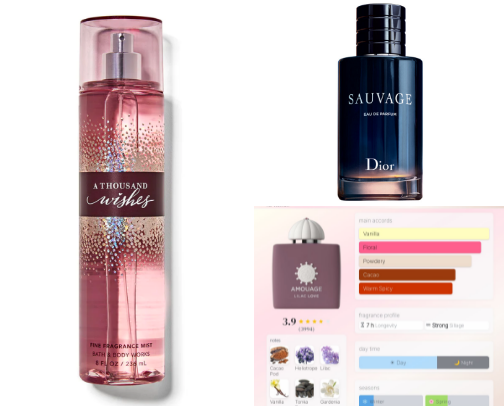 Perfumes from my nose of view✌ cover photo collage
