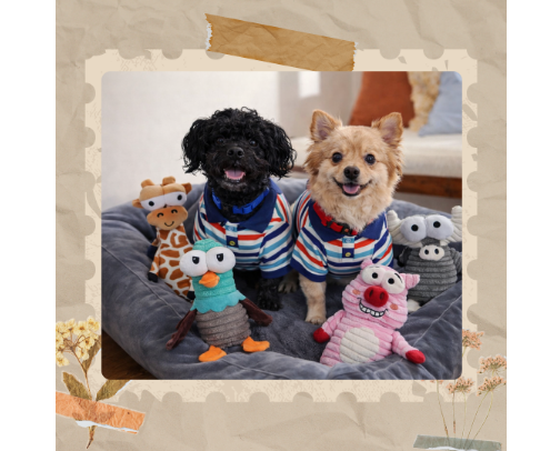 Pampered Pup Picks: Play, Eat, Sleep In Style cover photo collage