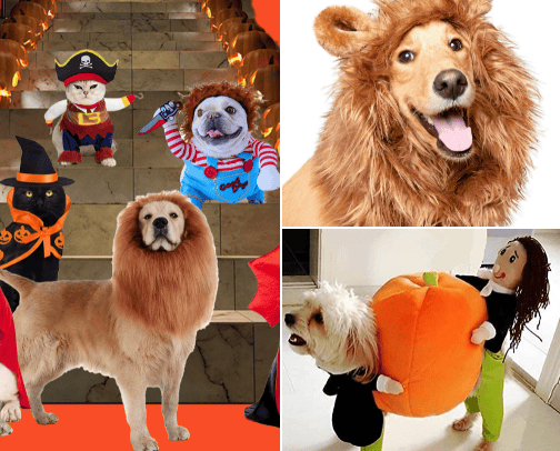 Halloween Pet Costumes cover photo collage