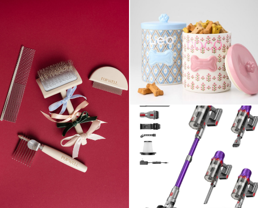 Must-Have Gear for the Best Pet Parents cover photo collage