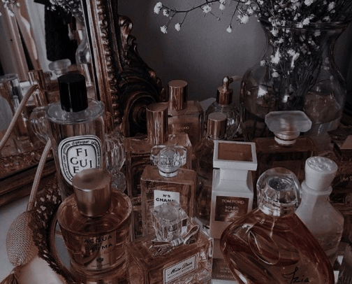 Best perfumes I've ever tried✨ cover photo collage