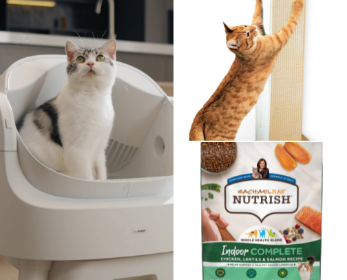 Cat Needs cover photo collage