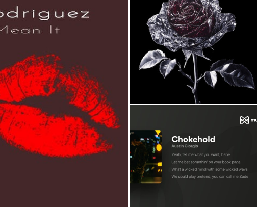 Spicy Songs for Your Spicy Books cover photo collage