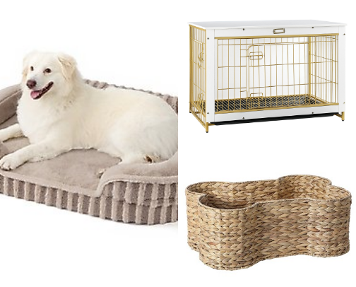 All Things Needed for Your Dog cover photo collage