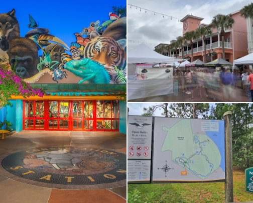 The Disney & Orlando Guide cover photo collage