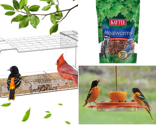 For the Birds 2026 cover photo collage