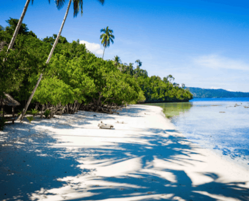 Raja Ampat Island cover photo collage