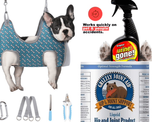 Everything for animals . cover photo collage