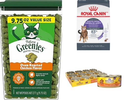 🐱 Best Cat Products & Essentials Every Cat Owner Needs cover photo collage