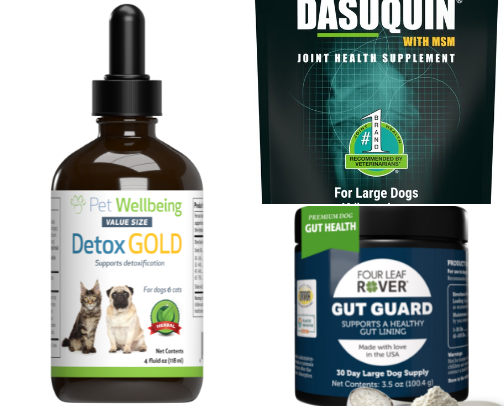 🐾 Protecting Your Pet: Detoxing & Supporting Your Furry Friends Immunity cover photo collage