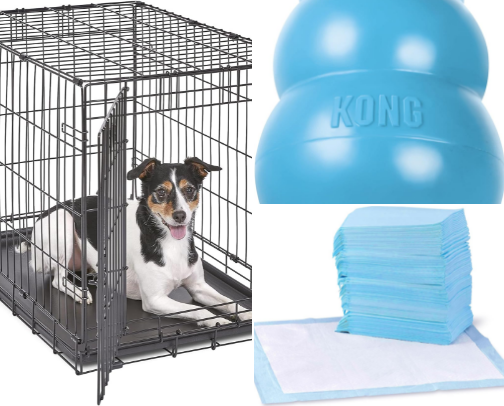 🐶 New Puppy Survival Kit: Everything You Actually Need cover photo collage