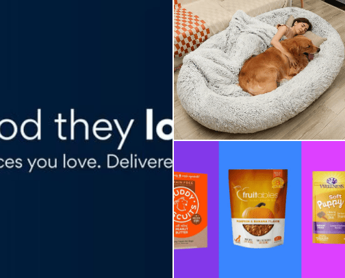 All things dogs cover photo collage