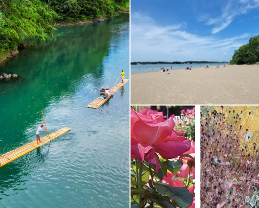 Vacation and Getaway Spots📍🗺️ cover photo collage