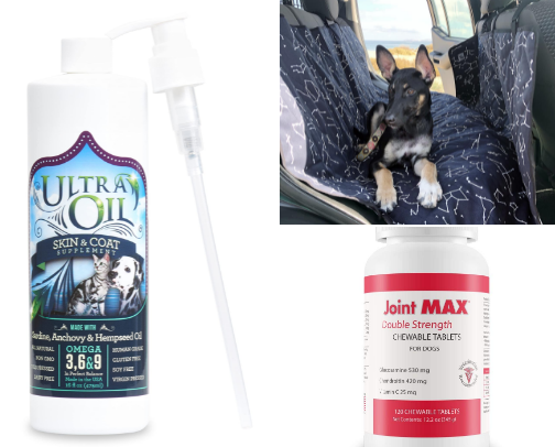 Obsessed with my dog like everyone else cover photo collage