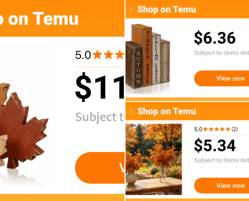 🍂 Fall Decor on a Budget | Temu Finds cover photo collage