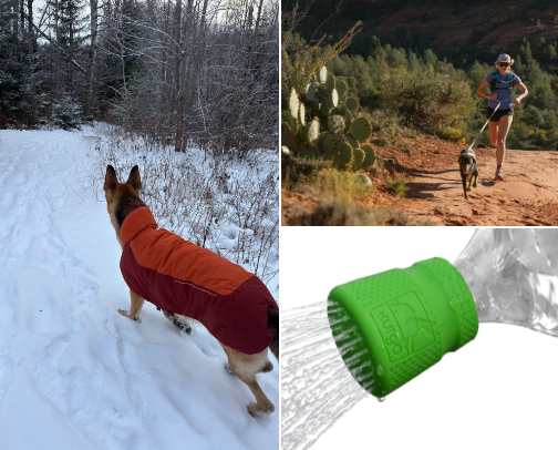 Winter Or Summer: Dog Life Essentials cover photo collage