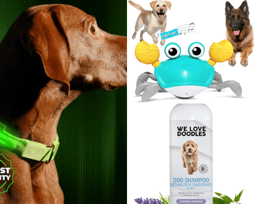 Doggie Lifestyle cover photo collage