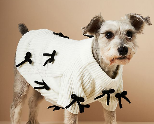 Paws and Whiskers cover photo collage