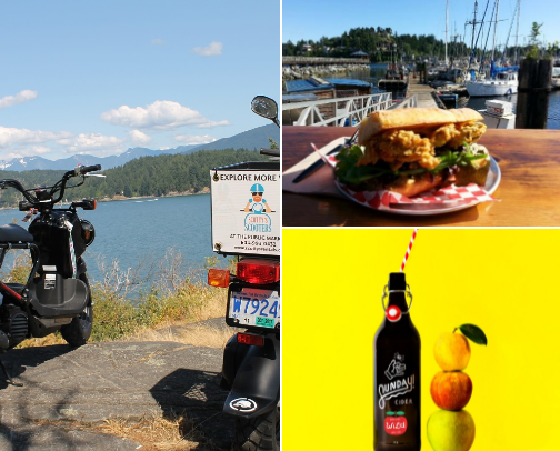 brb, on island time 🌊 - sunshine coast recs cover photo collage