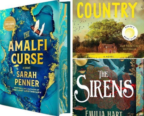 Plot Twists & Page-Turners: 2025's Fiction Hits (So Far) cover photo collage