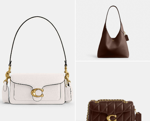 Bag Chronicles: Top Picks for Chic and Functional Styles cover photo collage