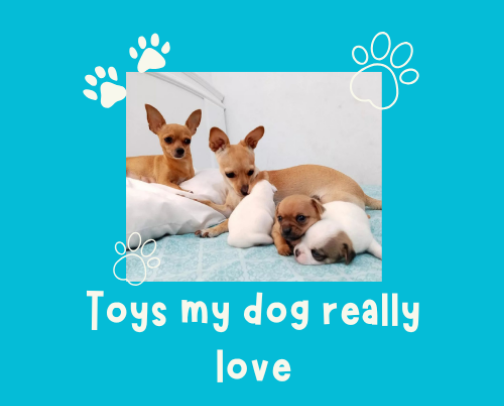 Toys My Dogs Really Love 🐶💛 cover photo collage