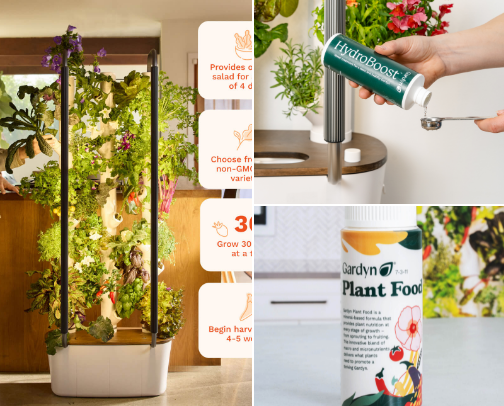 How I was able to grow my own food in my Apartment. cover photo collage