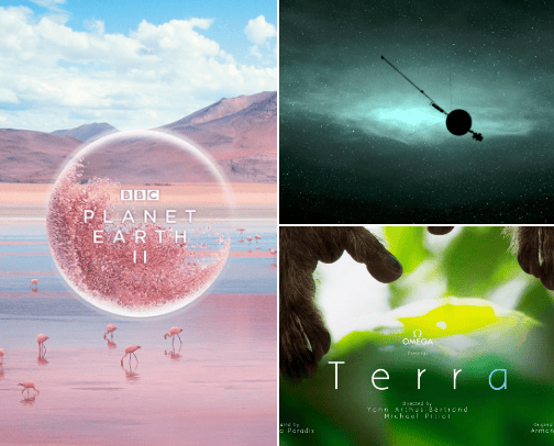 Wildlife Documentaries That Showcase Earth's Biodiversity cover photo collage