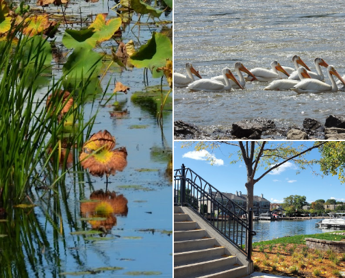 My Favorite Places in the Midwest cover photo collage