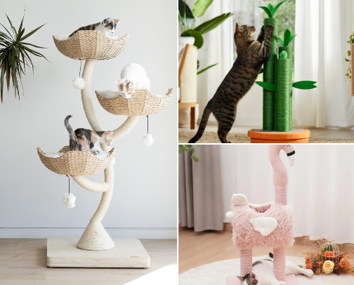 Aesthetic Cat Furniture 🐈 🛋️ cover photo collage