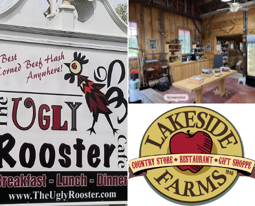 My Local Loves: Where I Actually Go Around Saratoga County, NY cover photo collage