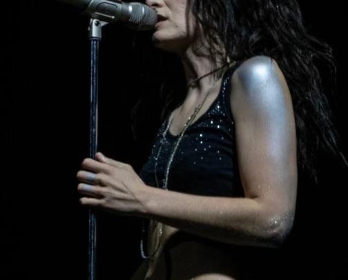 lorde's ultrasound tour outfits inspo cover photo collage