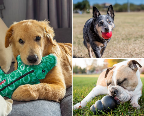 Tough and Durable Dog Toys for Extreme Chewers cover photo collage