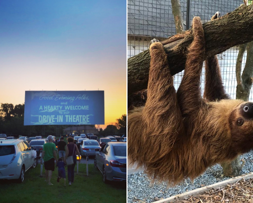 Fun Things To Do in Town cover photo collage