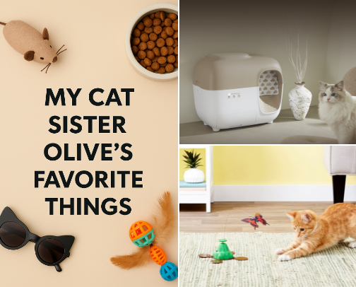 My Cat Sister, Olives Fav things cover photo collage