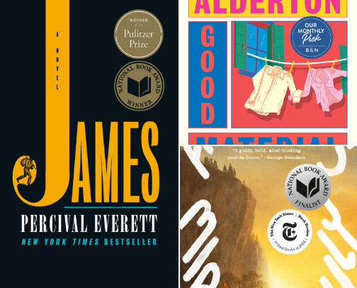 Top Novels Published in 2024 cover photo collage
