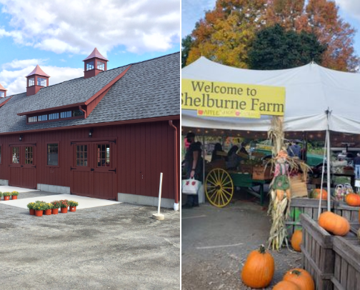 🍎 Ultimate Guide to Fall Family Fun in Central Massachusetts 🎃 cover photo collage