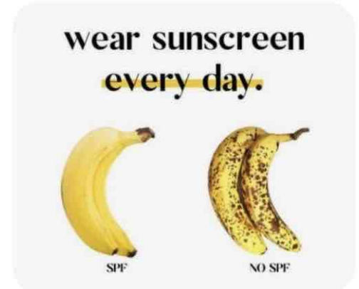 My favourite SPF products for every skin type cover photo collage